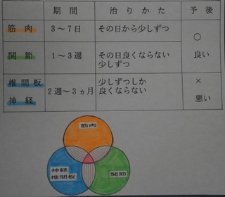 Œo‰ßƒPƒK‚Ì’ö“x‚Æ.jpg