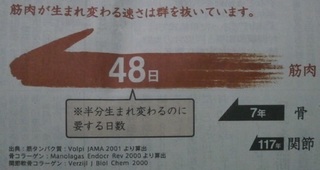 きんにく.jpg