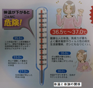 体温と体調の関係.png