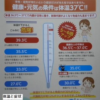 体温と症状1.jpg