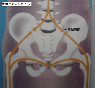 力の伝わり方.jpg