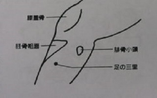 図足三里.jpg