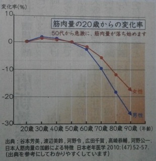 筋肉量の.jpg