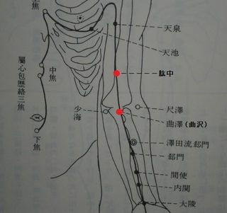 豊乳.jpg