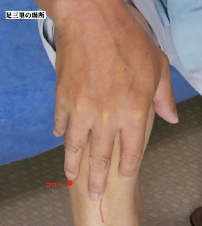 足三里2.jpg