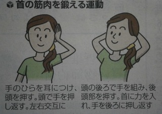 首を鍛える.jpg